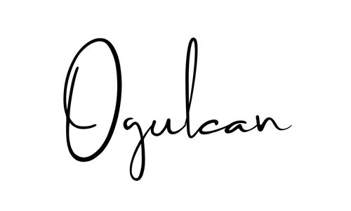 Ogulcan Ozyavuz | Venture Building
